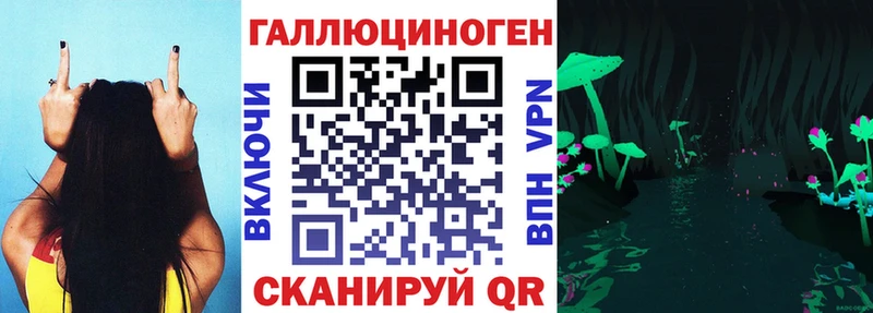 Псилоцибиновые грибы Psilocybine cubensis Саранск