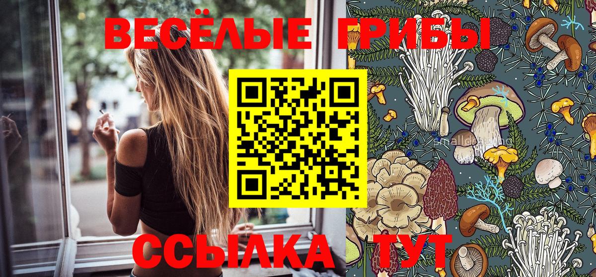 Псилоцибиновые грибы Psilocybine cubensis Саранск